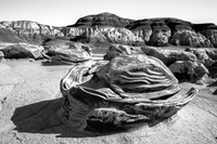 The Egg Garden, Bisti Badlands (B&W)