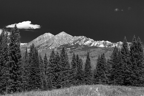Fir Trees, Ruby Mountains and the Dyke