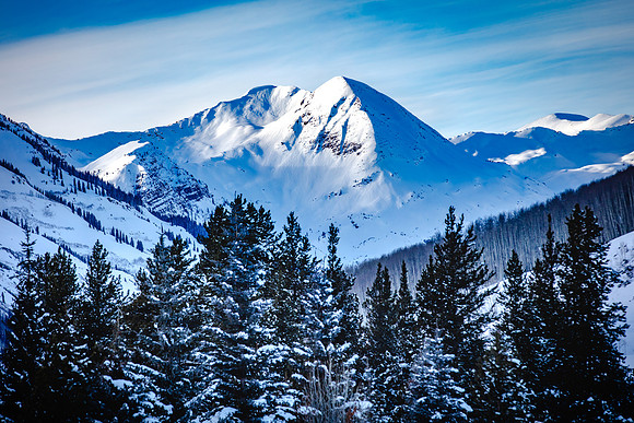 Late Light, Paradise Divide