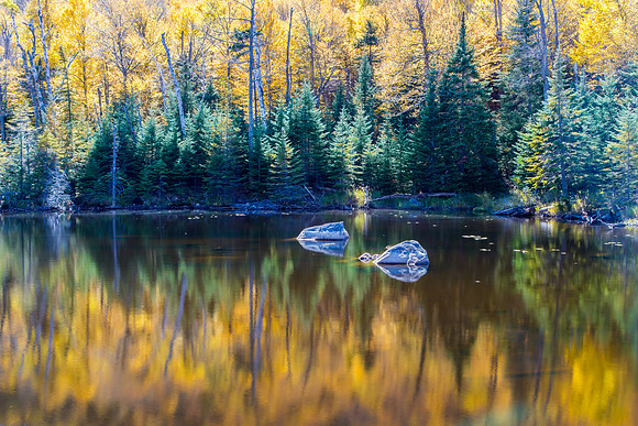 Fall Reflections, Near Whiteface Mountain, New York