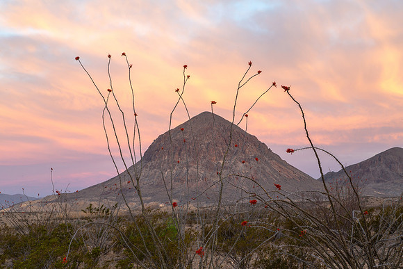 Hen Egg Mountain, Dawn, Big Bend Texas