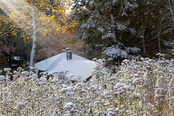 Blessed Cabin, Thousand Island Lake, UP