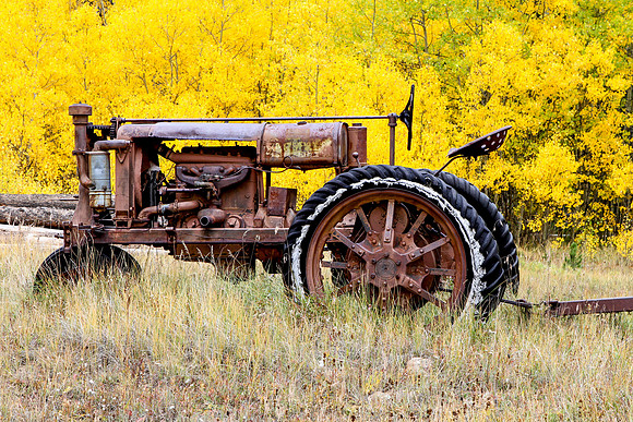 Old Tractor, Golden Aspen