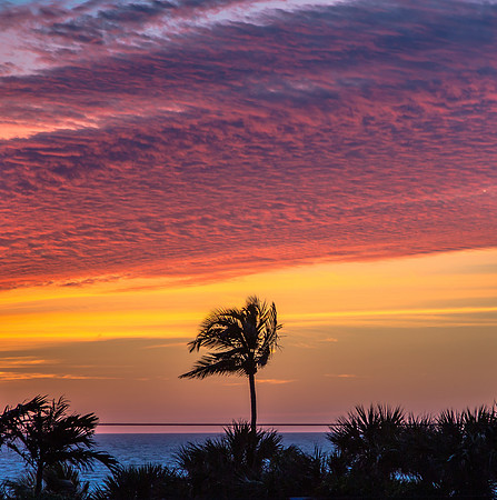 Windy Sunset, Lone Palm, Vanderbilt Beach, Florida