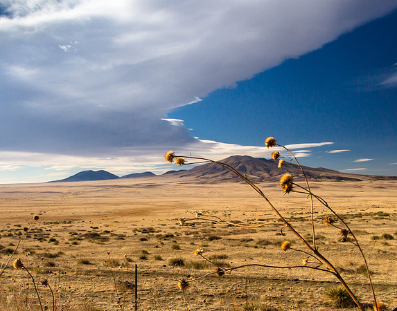 Simple Beauty, NE New Mexico Landscape