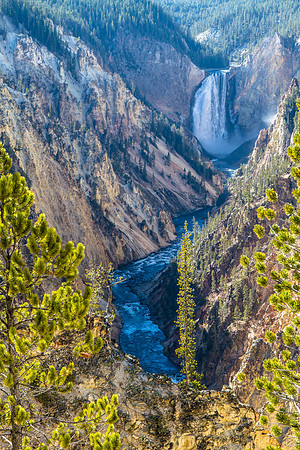 Lower Falls of the Yellowstone River, Yellowstone NP (portrait)