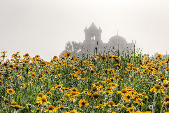 Spring Flowers, Presidio La Bahia, Goliad, Texas