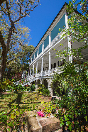 Rose, Antebellum Home, Beaufort SC