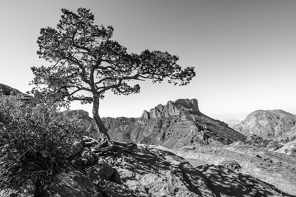 Casa Grande from Lost Mines Trail (B&W), Big Bend NP
