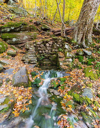 Forest Stream, Fall Leaves, Forest, Vermont