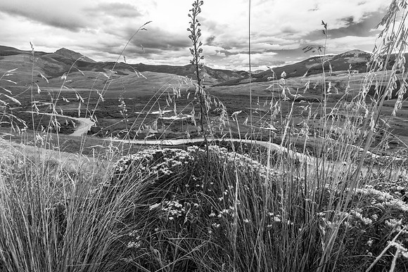 East River Valley, through Early Fall Grasses and Brush, Brush Creek Trail (B&W)