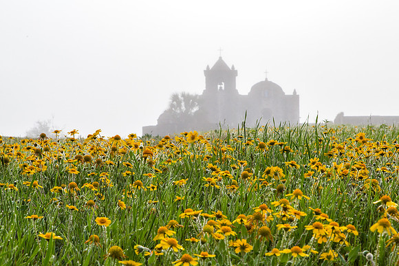 Spring Flowers, Presidio La Bahia, Goliad, Texas