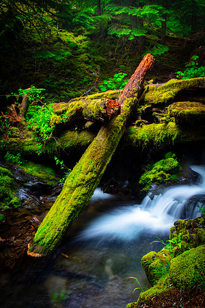 Panther Creek Falls, Oregon