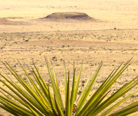 Yucca's View of the Valley, Davis Mtn SP, Texas
