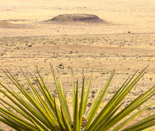 Yucca's View of the Valley, Davis Mtn SP, Texas