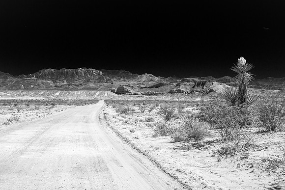 Maverick Road, Big Bend National Park 2013