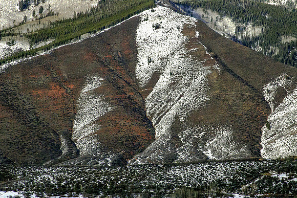 Snowy Hillside, Snowmass, CO