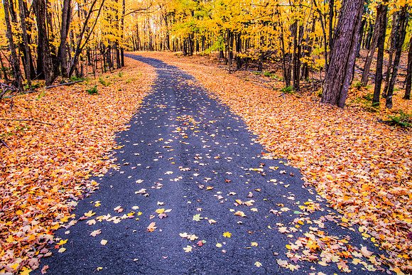 Back Country Road, Fall Leaves, Michigan UP