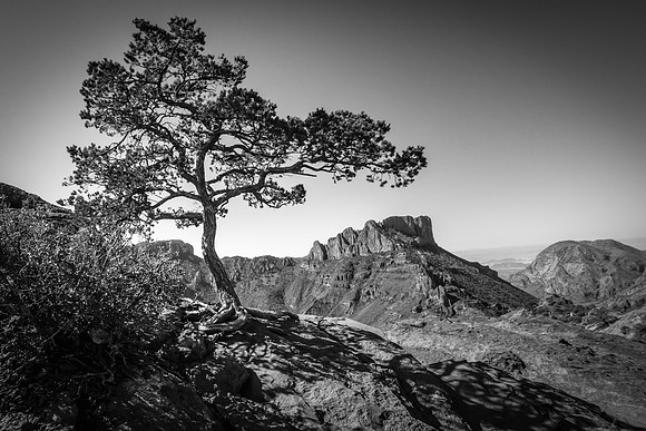 Casa Grande from Lost Mines Trail (B&W), Big Bend NP