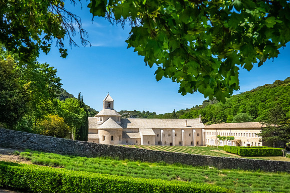 Abbaye Notre-Dame de Sénanque