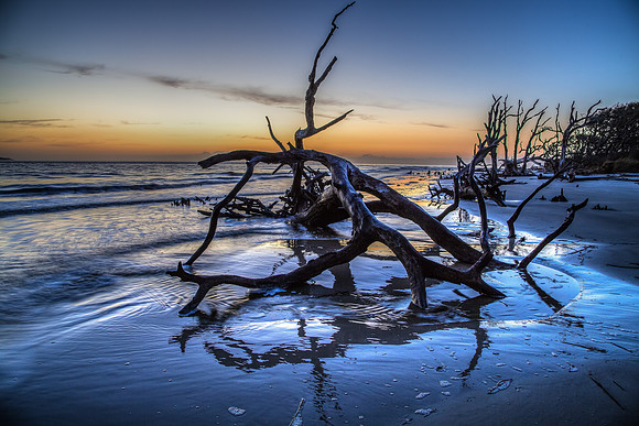Driftwood Beach at Dawn, Jekyll Island