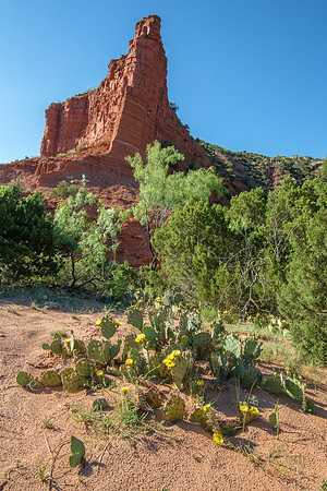 Caprock Canyon State Park