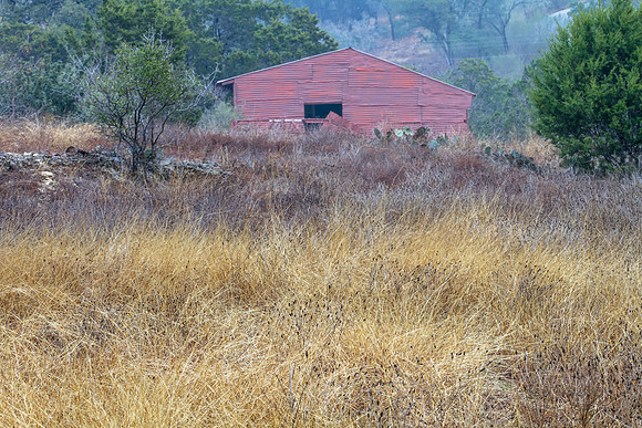 Old barn, Winter Grasses, Wimberley