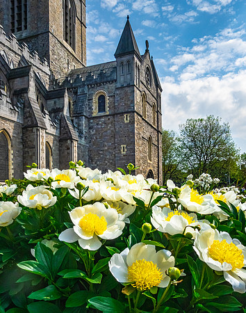 Christ Church Cathedral, Dublin