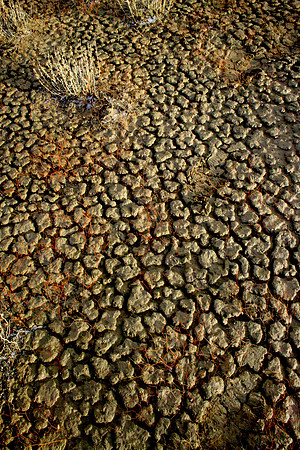 Patterns in the Clay Soil, Utah