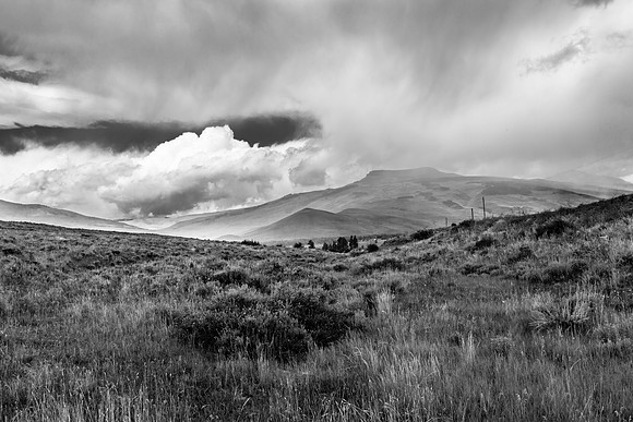 Grassland, Flattop Mountain; Jack's Cutoff Road, near Almont, CO (B&W)