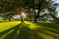 Beautiful Oaks, Nottaway Plantation, Louisiana