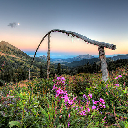 Fireweed, Washington Gulch Valley View at Dusk (Square)